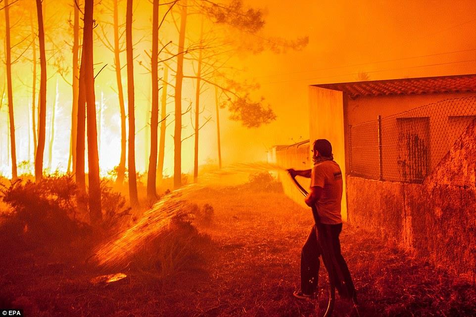 Požáry v Portugalsku