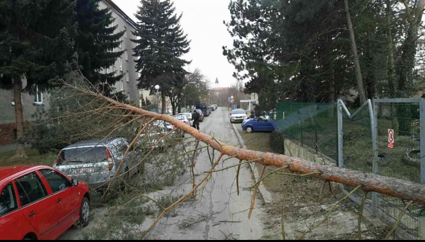 Spadlý strom na automobil v Přerově