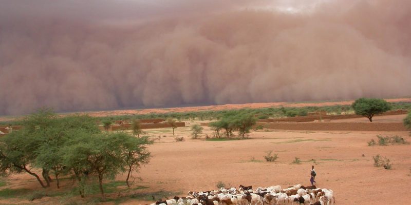Pouštní bouře v oblasti Sahelu a schovávající se lidé