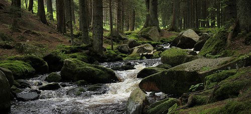 Šumava - východ