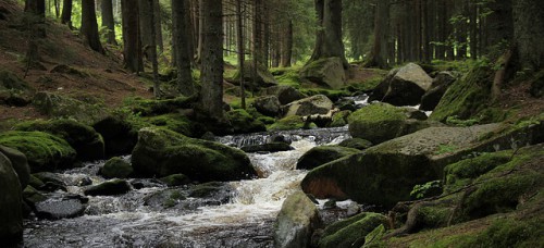 Šumava - východ