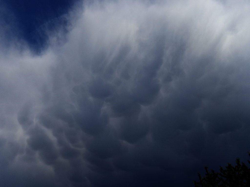 mammatus